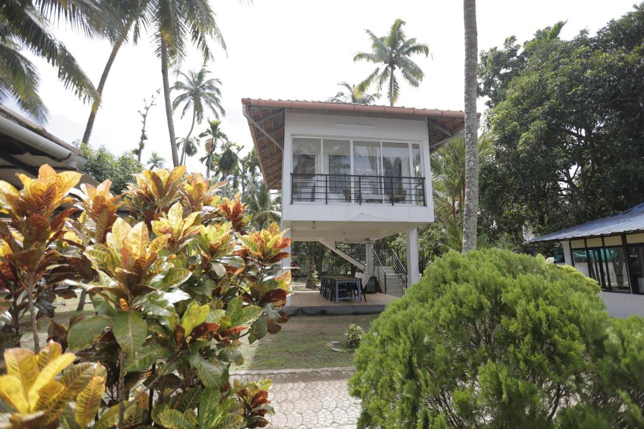Kallanchery Retreat Kochi Exteriör bild